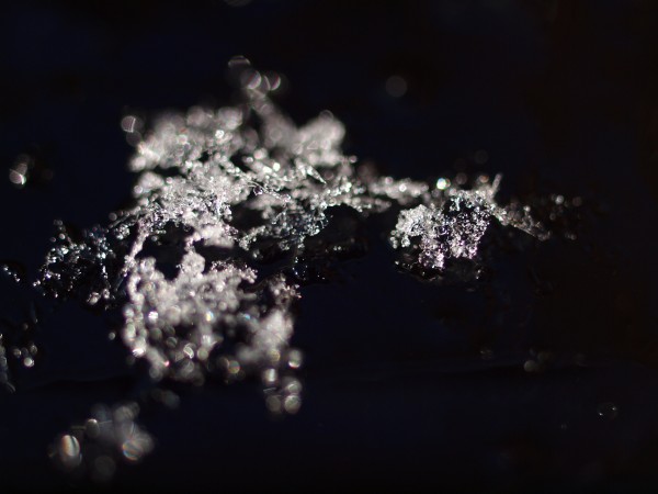 雪