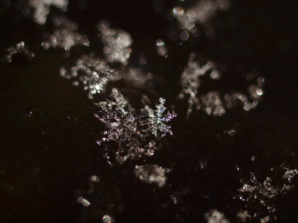 雪
