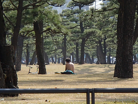 fc2yn_130319_2015.jpg