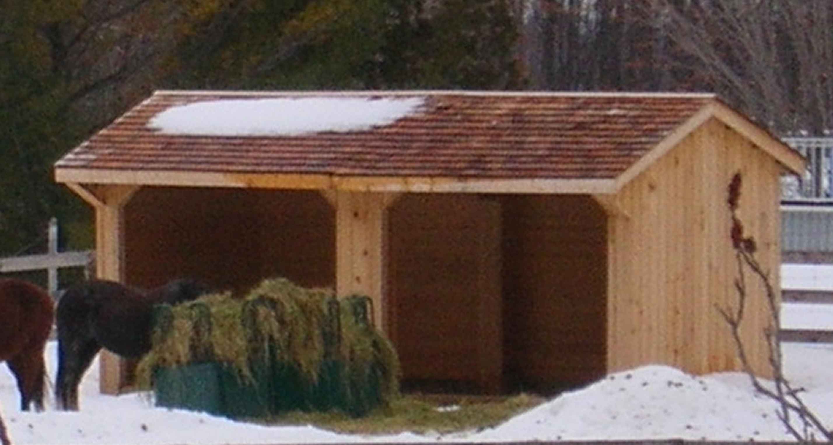 free horse loafing shed plans horse run in shed designs