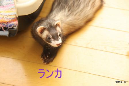 IMG_0790.jpg