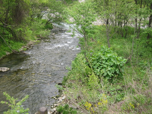 IMG_1712.jpg