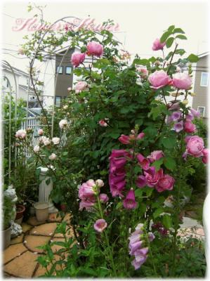 20120616g-----.jpg