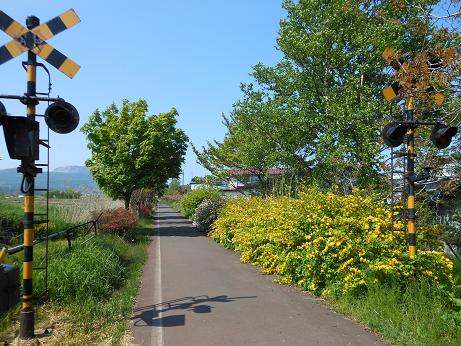 アルバム岬38