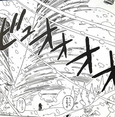 ワンピ49