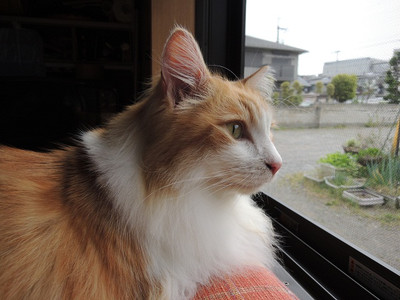 dscn0930.jpg
