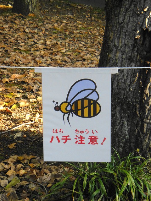 DSC005853 (1)