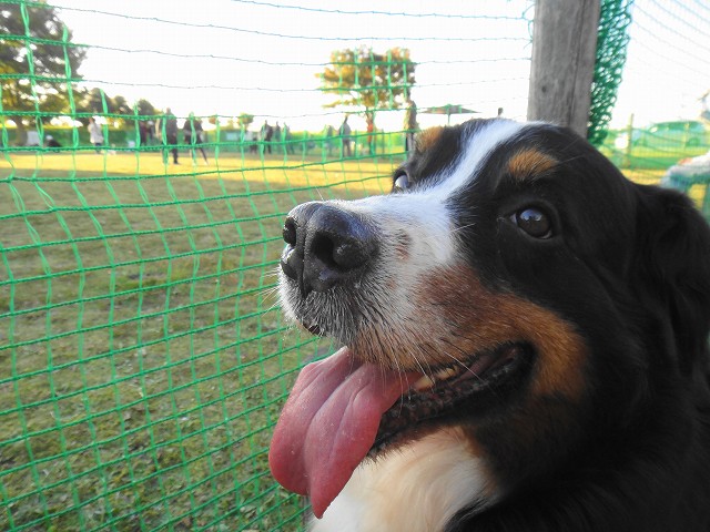 DSC005898 (1)