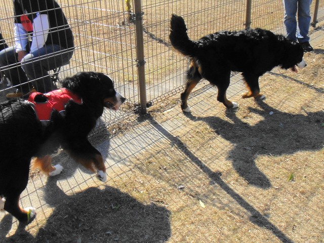 DSC005956 (1)