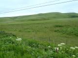 P120708_11.jpg