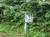 P120818_28.jpg