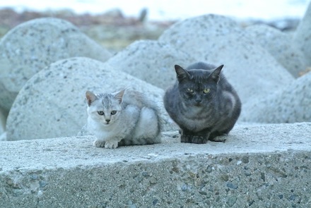DSC_3110.jpg