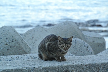 DSC_3113.jpg