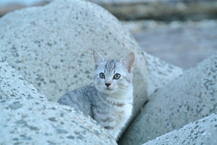 DSC_3127.jpg
