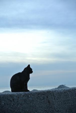 DSC_3137.jpg
