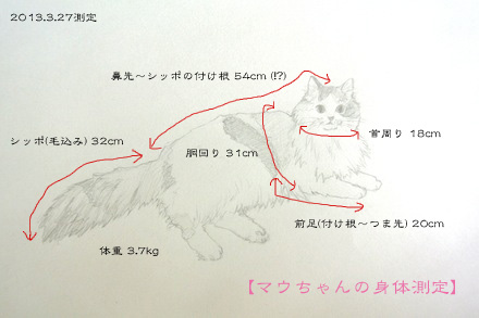 sokutei.jpg