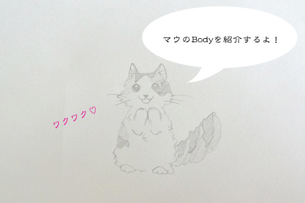 sokuteibody.jpg
