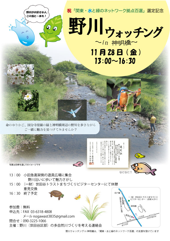 野川ウォッチング20141128