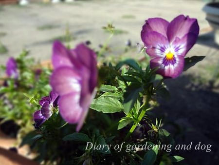 DSC05844_R.jpg