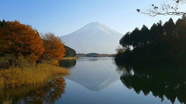 田貫湖 1123 1