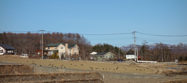 DSC03370ブ11