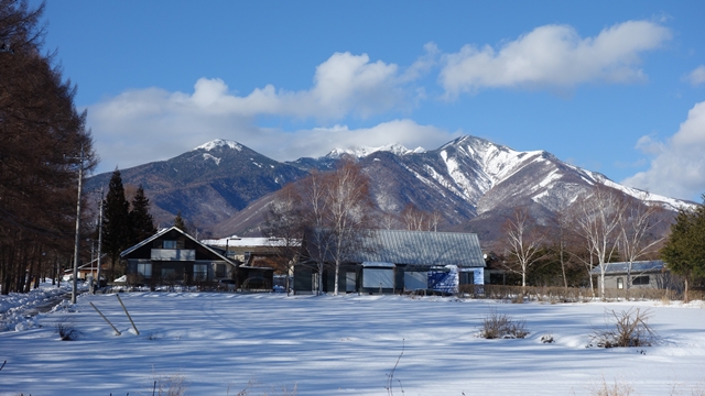 DSC03429ブ