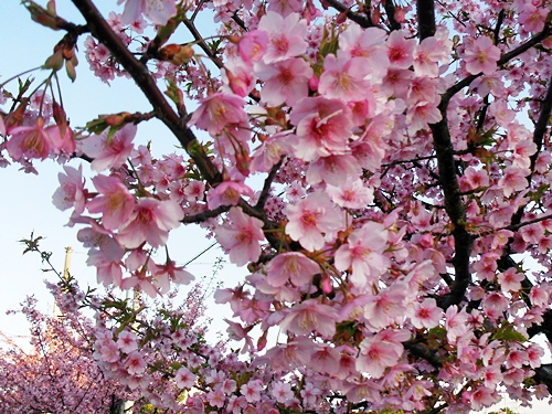2013-0319-008.jpg