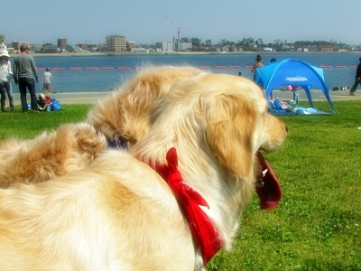 20130508-003.jpg