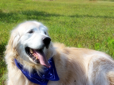 20130508-009.jpg
