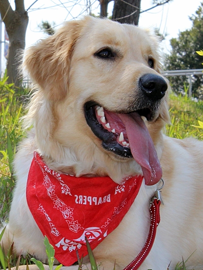 20130508-012.jpg