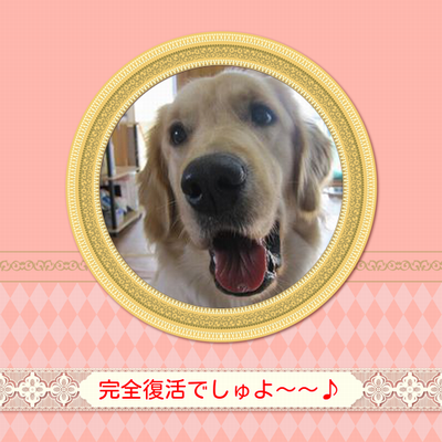 HI4dwdLcfJgT93m1365403073_1365403427.png