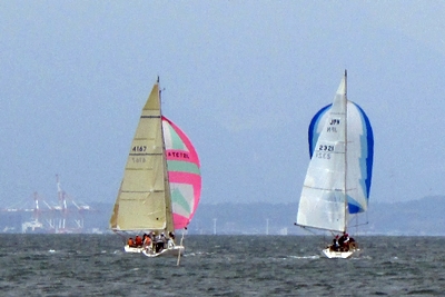 IMG_1009.jpg