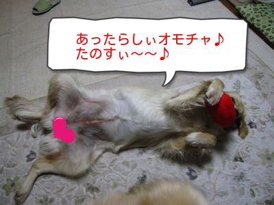 _P27RUBDeC8qvt61368097764_1368098232.png
