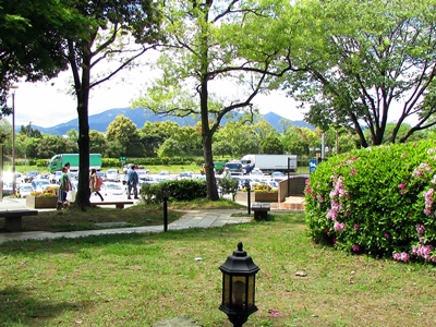 toba004.jpg