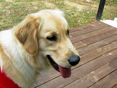 toba014.jpg
