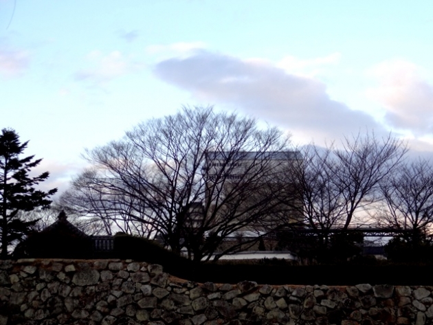 DSC08708.jpg