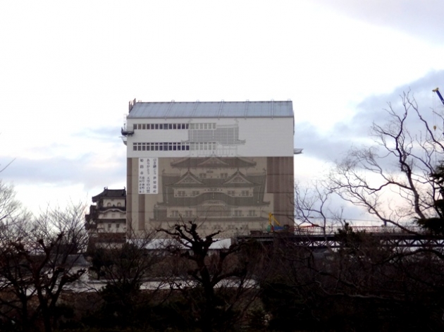 DSC08711.jpg