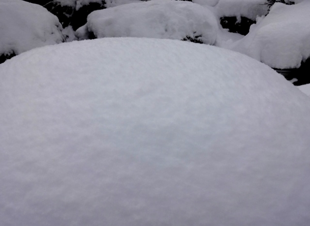 DSC08813.jpg