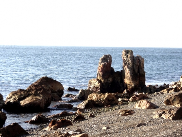 DSC09258.jpg