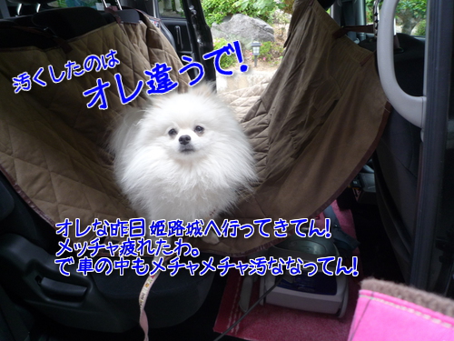 OR9x32vpBvZJbVW1370148050_1370148445.jpg