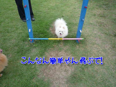 gsf1uPdDMWFdYx21370989641_1370989741.jpg