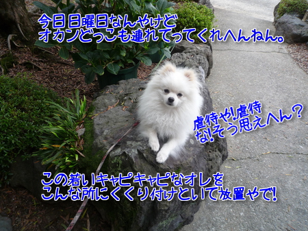 kBkkx8q6gYC8NYh1372028032_1372028687.jpg