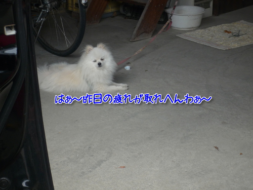 nQmUeYz_EmQpjoq1370148697_1370148797.jpg