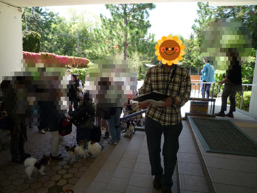 rBM5RjBGFr0756y1368749281_1368749414.png