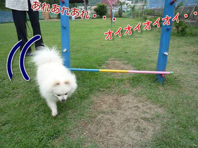 snk6ZVs672zW3BI1371035052_1371035333.jpg