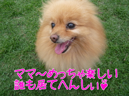 zrcrGf7Wzkemk761370988848_1370989195.jpg