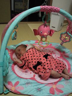 201211010045000.jpg