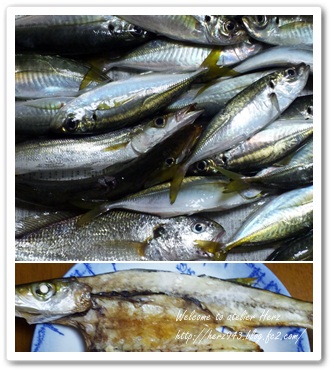 魚