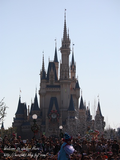 TDL.jpg