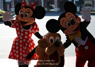 tdl_20121112195937.jpg